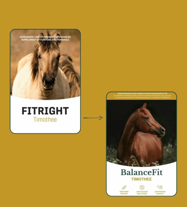 Metazoa BalanceFit (FitRight) Timothee 15kg - Afbeelding 2