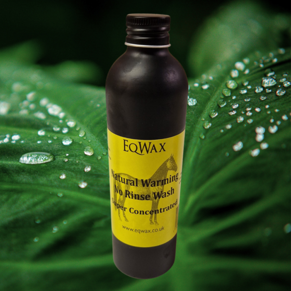 EqWax No Rinse Shampoo Warming Wash