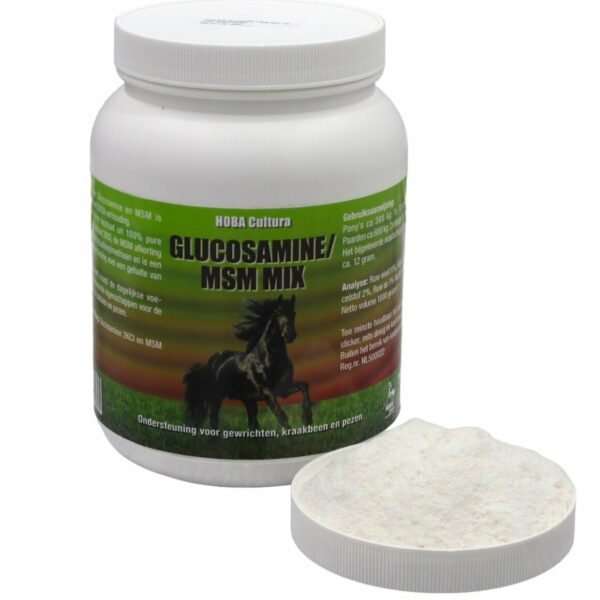 Glucosamine MSM mix DHP 1kg