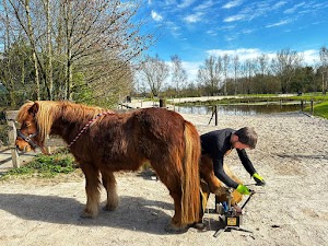 Through Feel, Natural Horse Care plaats foto