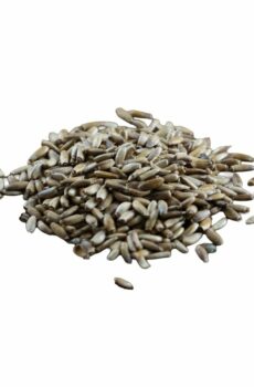 Mariadistel HorseAdds