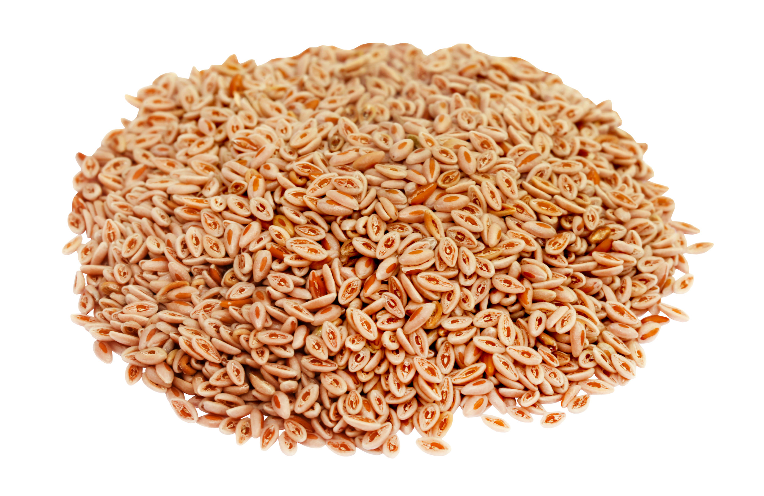 Psylliumzaad Vlozaad HorseAdds vanaf 3 kg