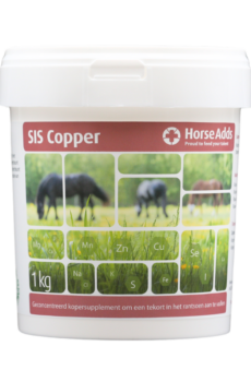Cooper SIS HorseAdds 1 kg